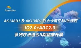 IO2.0+ADC2.0系列疗法组合II期临床召开！EbpayAK146D1及AK138D1联合卡度尼利/依沃西及自研高潜力药物治疗实体瘤